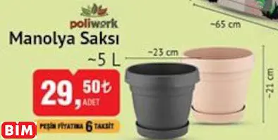 POLİWORK MANOLYA SAKSI ~5 L POLİWORK MANOLYA SAKSI ~5 L